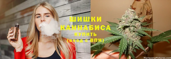 сатива Ельня