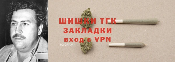 сатива Ельня