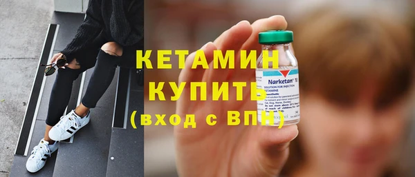 сатива Ельня