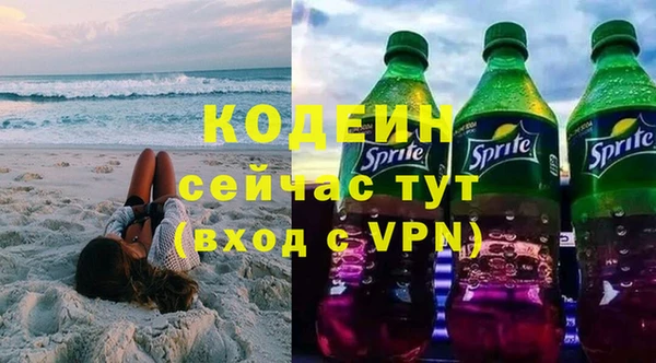 сатива Ельня