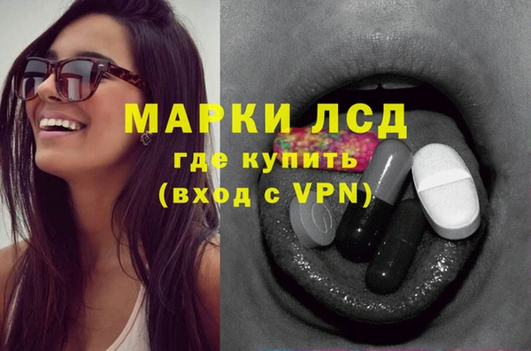 сатива Ельня