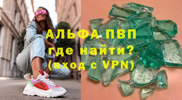 сатива Ельня