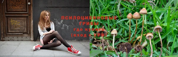 герыч Елизово