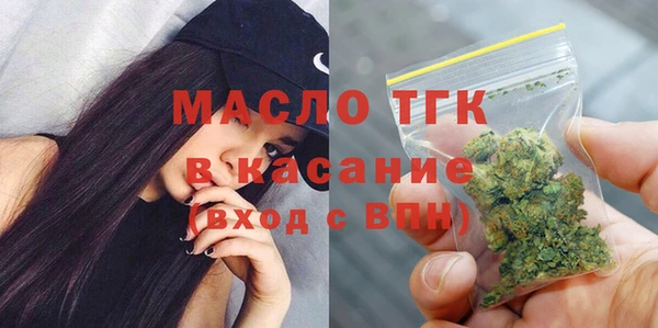 сатива Ельня