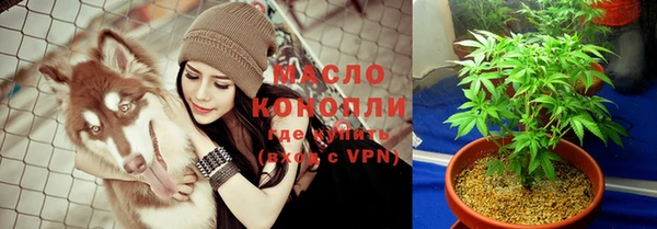 сатива Ельня