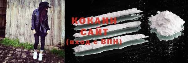сатива Ельня