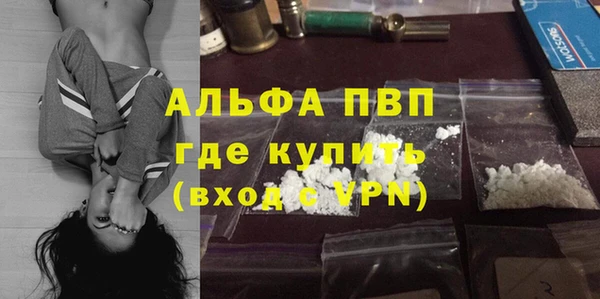 сатива Ельня