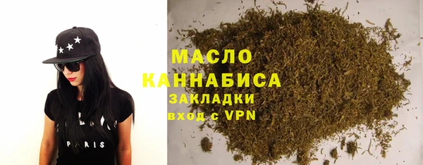 сатива Ельня