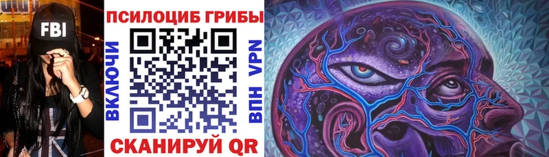 Галлюциногенные грибы ЛСД  Купить  Тейково 